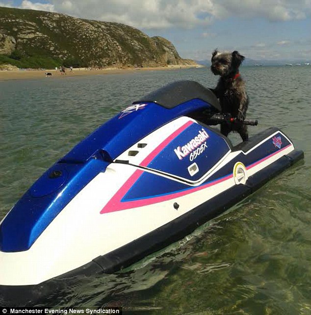 ͼΪС���������ؼ�ʻ��ˮ��Ħ��ͧ��