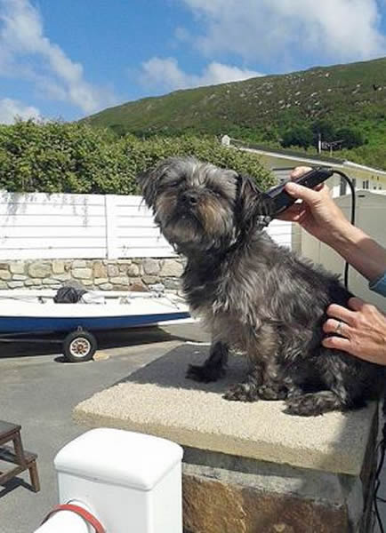 ͼΪScruff��������վ��ҳ�е�ͼƬ������������