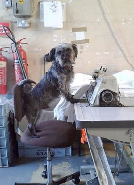 С����һ�ܷ��һ�ǰ����