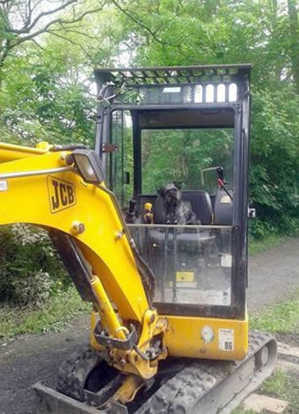 Scruff����ʻһ��������