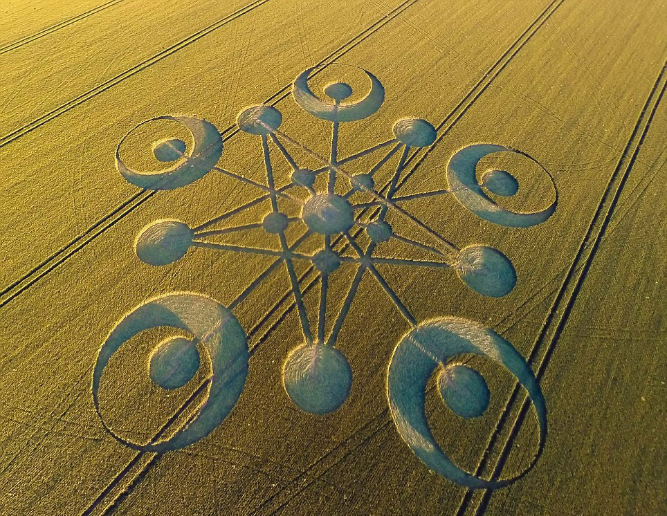 英国多塞特郡农田中惊现2014年首个麦田怪圈