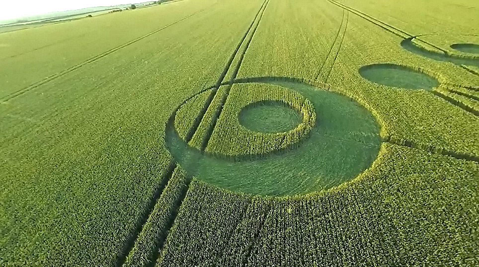 英国多塞特郡农田中惊现2014年首个麦田怪圈
