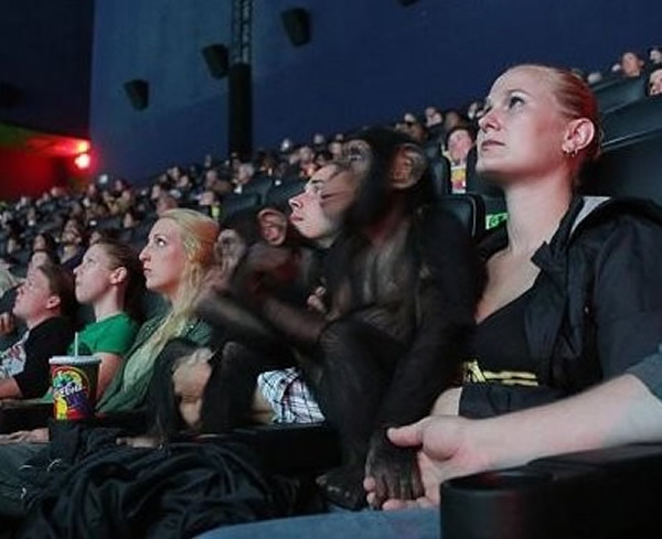 默特尔海滩野生动物园工作人员带园内两只黑猩猩去看《猩球崛起》续集,没想到却引发同厅内部份观众的不安。