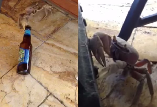 �з�㵽���º�ŵ�ơ�ƹޣ�������Ӷ¸����š�