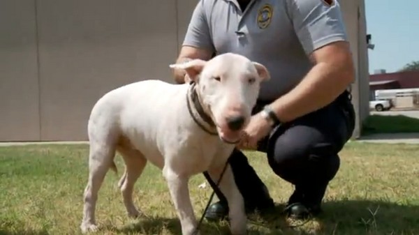 ţͷ��ֻ�п������˵�ǣ���ŻῪ��