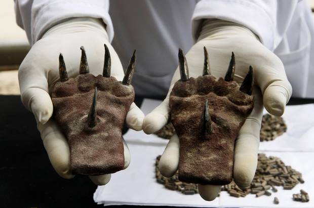 考古学家在秘鲁贵族古墓挖掘出1500年前的“金属猫爪”