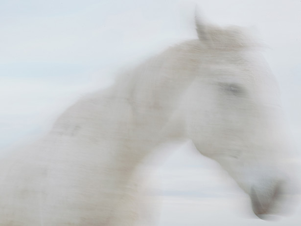 �����ϵ�����