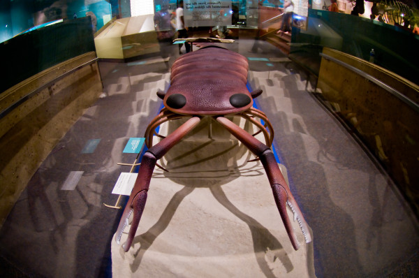 ʷɭȻʷݵԶž޺Ыģ