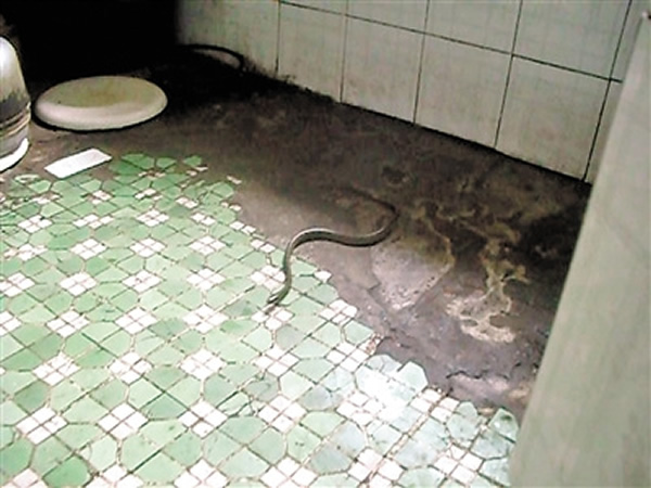 �����ս�����߲�����ҧ��