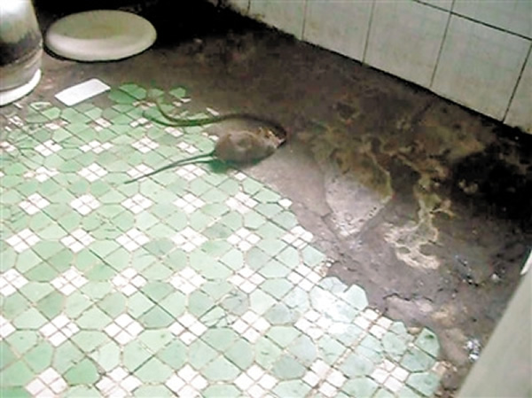 �����ս�����߲�����ҧ��