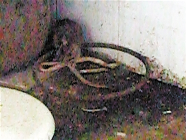 �����ս�����߲�����ҧ��