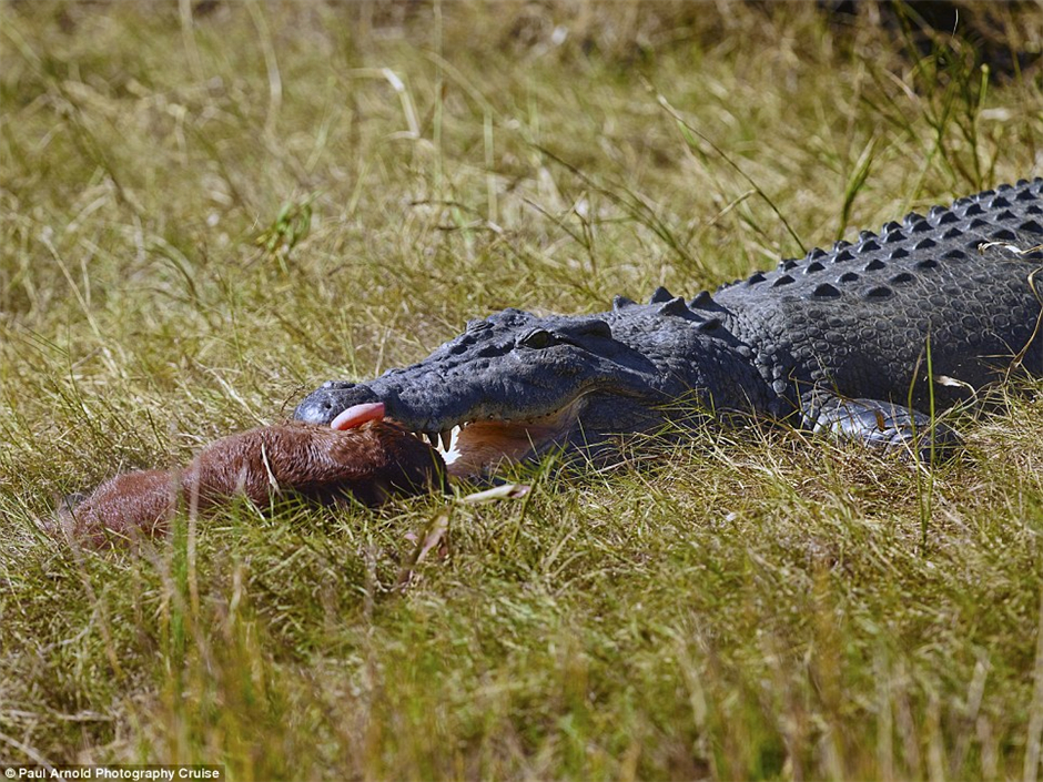 �Ĵ�������Ӱʦ�ڰĿ����Ź��ҹ�԰�ĵ�4.5�׳���������С���Թ���