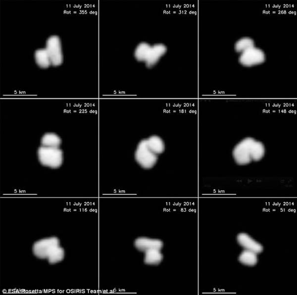 这是罗塞塔发回的67P/楚留莫夫-格拉希门克彗星彗核影像。可以看到其彗核明显由两个独立部分组成。目前尚不清楚其中缘由,但未来数周内将会有更多消息