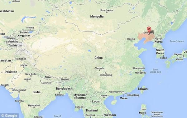 该化石发现于中国东北部的辽宁省
