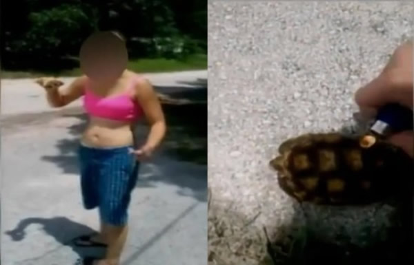 ����2����Ů�������ڹ�������������