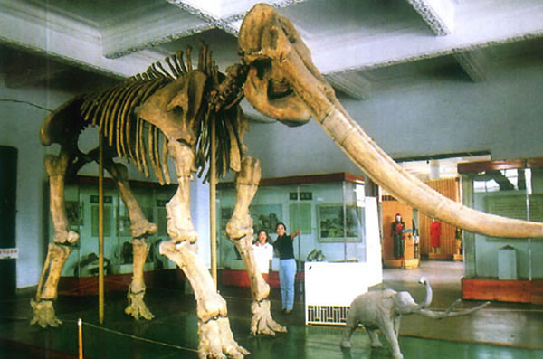 Сѧ�����������ġ��ƺ��󡱷��򾭹���ʵ