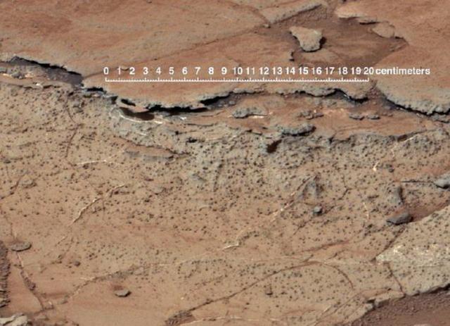 “好奇号”火星车最新发现火星加勒陨坑远古土壤与地球土壤非常相似，暗示着远古时期火星可能存在生命。