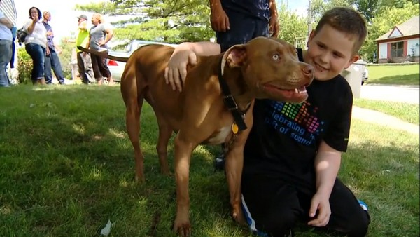 美国印第安那州比特犬舔醒失聪小主人逃生