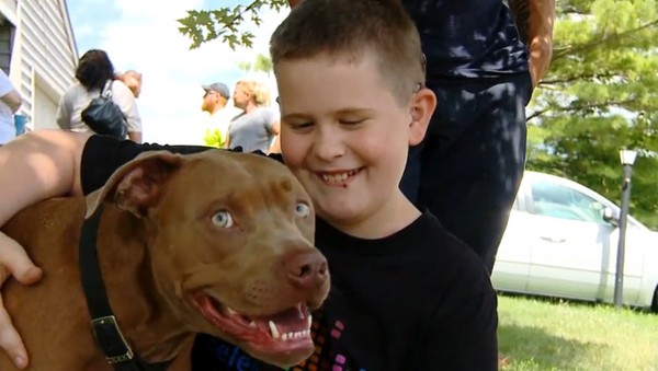 美国印第安那州比特犬舔醒失聪小主人逃生