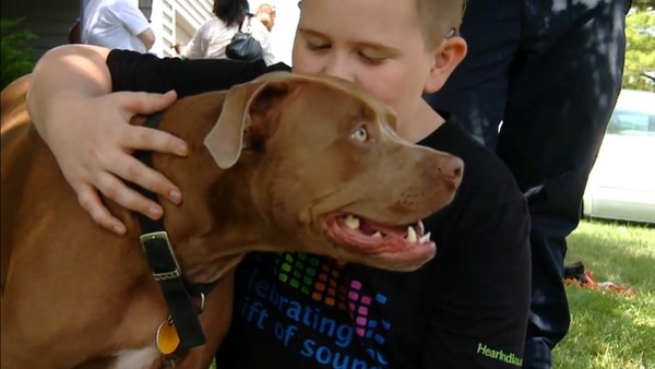 美国印第安那州比特犬舔醒失聪小主人逃生