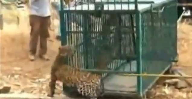 �������հ�ȫ���ص���