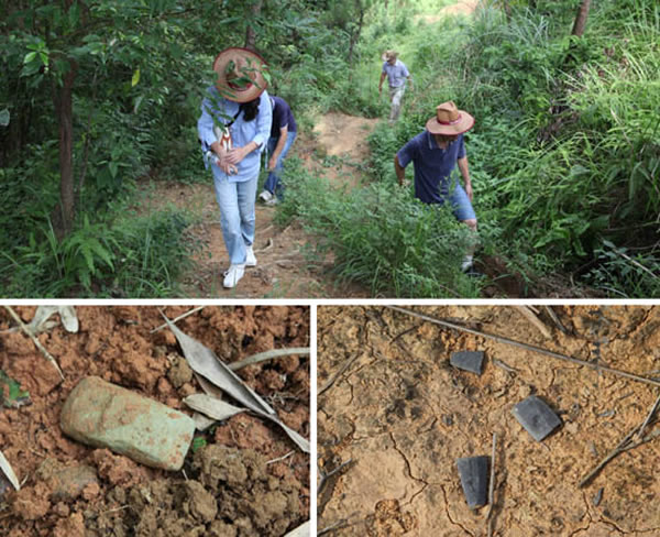 平阳县腾蛟凤山新石器时代晚期遗址再调查又有新发现