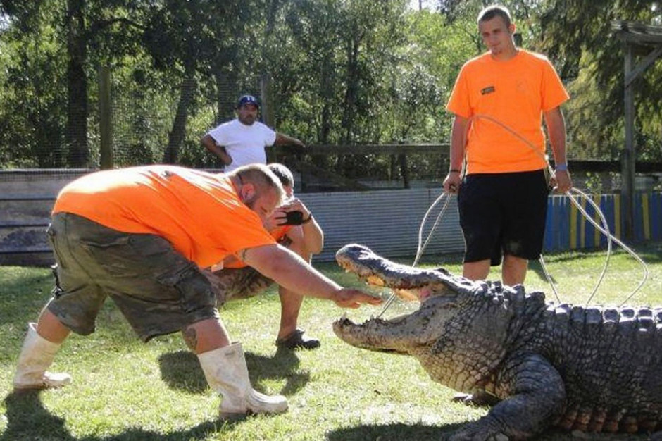 ��ˡ�������ũ�����һͷ����