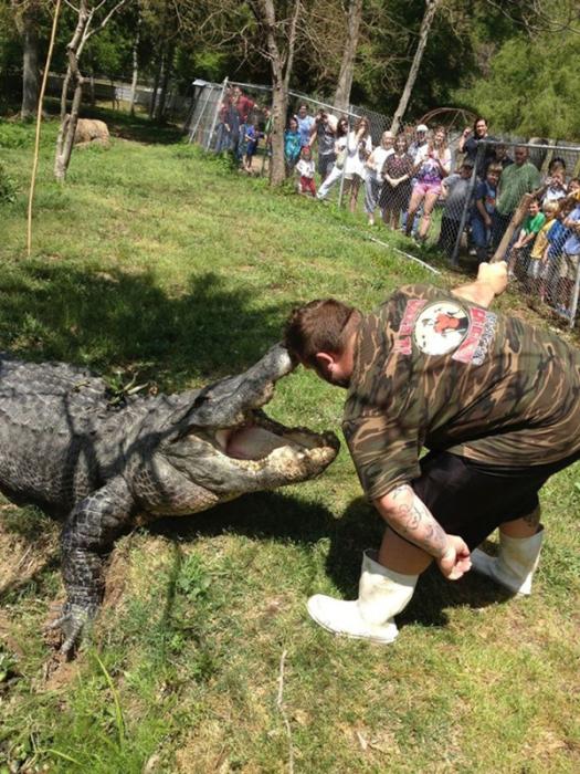 ��ˡ�������ũ�����һͷ����