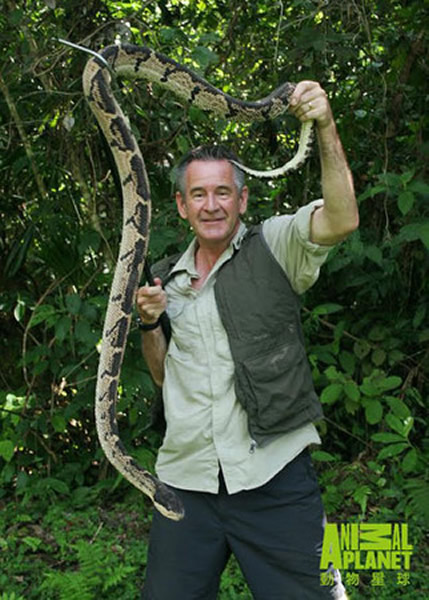 马文冒险与哥斯大黎加第一毒蛇巨腹蛇近距离接触