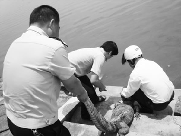 �Ź�������