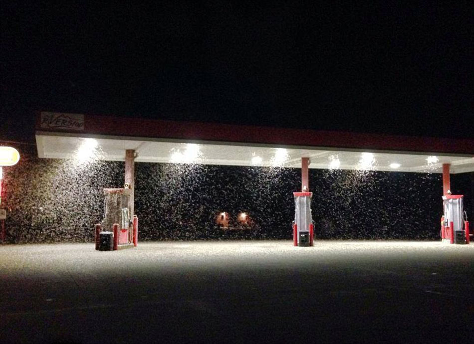 �����������Ⱥ����򱬷����ģ������������