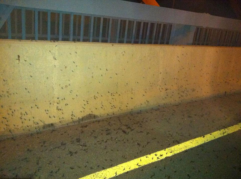 �����������Ⱥ����򱬷����ģ������������