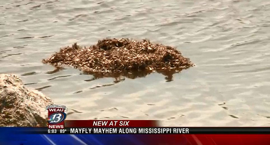 �����������Ⱥ����򱬷����ģ������������