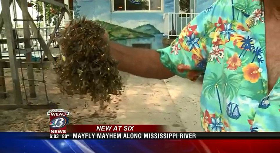 �����������Ⱥ����򱬷����ģ������������