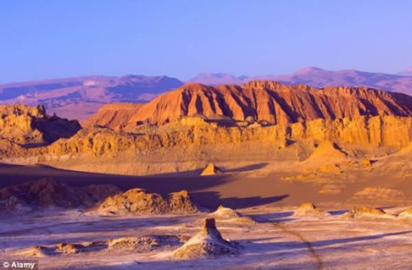 ������������ɳĮ�������ȡ���ѧ�ұ�ʾ��������ӵ�������������ƵĻ�ѧ���ɡ�