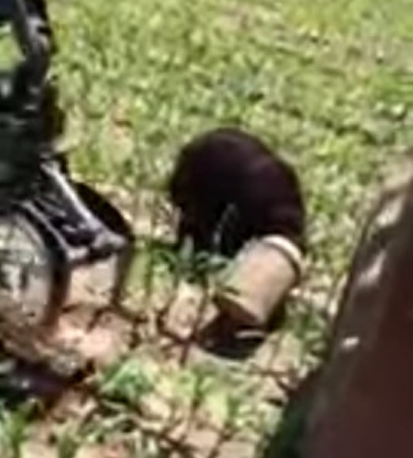 ����ͷ���չ� ũ��ץľ����Ԯ