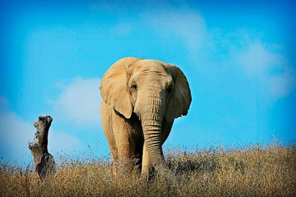 �ձ���ѧ���о����ִ���ӵ�е�һ��������ǿ�����