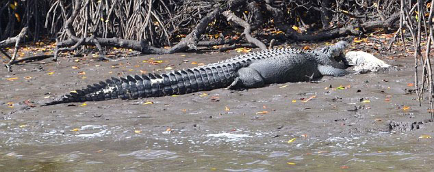 �Ĵ�����5�׾�����ʳ3��ͬ��