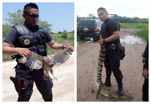 墨西哥一警官身穿制服使用警枪以猎杀濒危动物为乐
