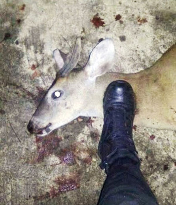 墨西哥一警官身穿制服使用警枪以猎杀濒危动物为乐