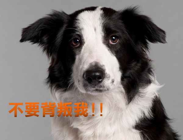 �о����ֹ�Ҳ�ἵ��