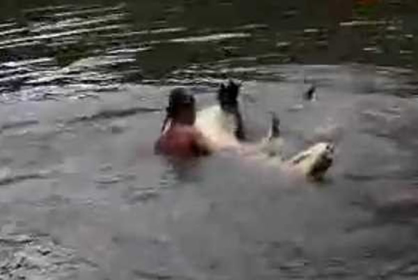 ����ˤ��ʾ��ͼ���뱾�����޹ء�