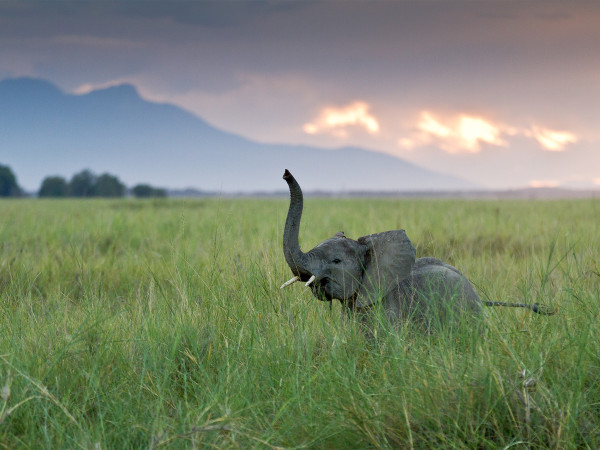 һֻ�����ǰ������������������ Photograph by Jo&atilde;o Nuno Gon&ccedil;alves, National Geogr