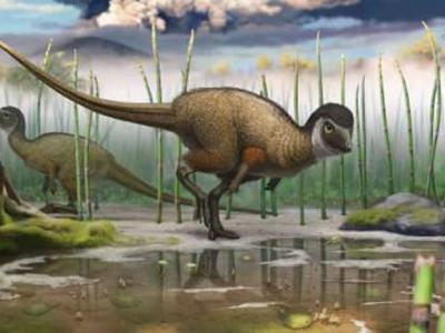 黑洞在死亡前会转变为白洞并吐出所有它吞噬的