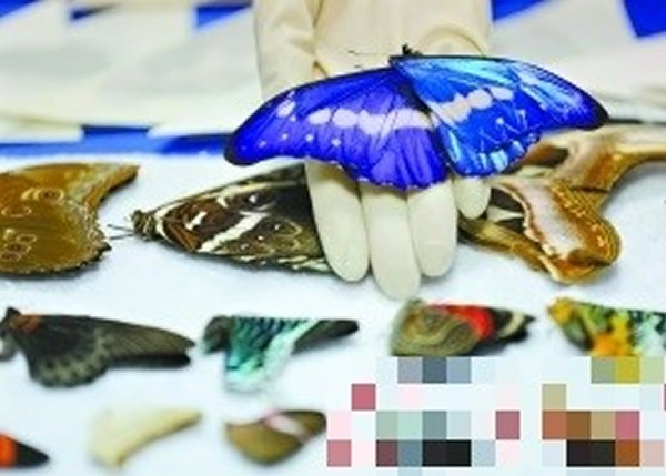 ��������Υ�������ϡƷ�ֺ����걾