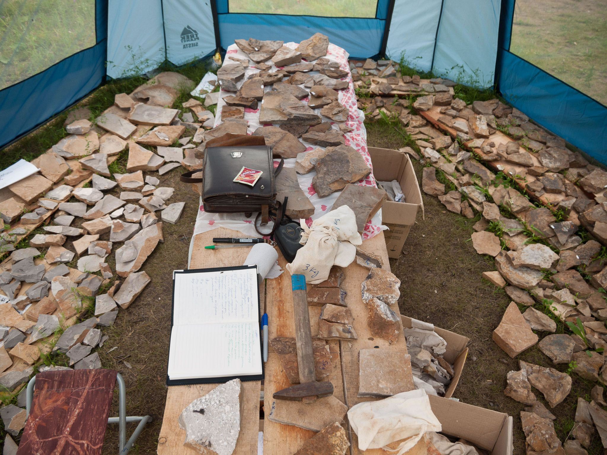 俄罗斯西伯利亚发现的披羽毛草食性恐龙Kulindadromeus zabaikalicus