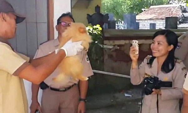 一名女官员满脸微笑为即将被杀死小狗拍照