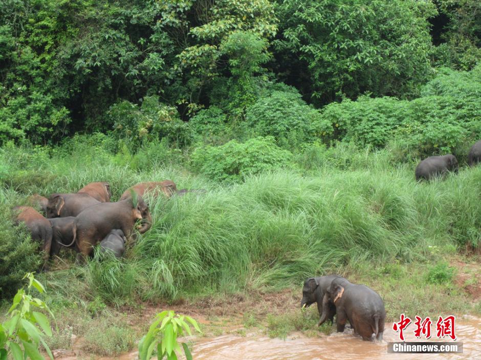 21ͷҰ��������������γ���������ʡ�����ؿ�ƽ�����Ͻ�һ��