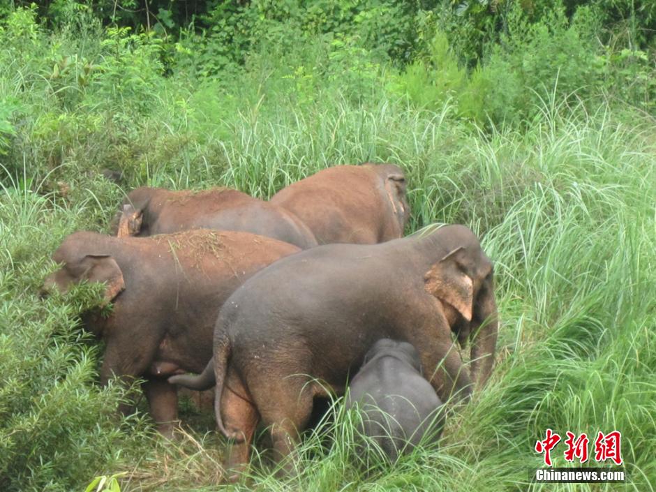 21ͷҰ��������������γ���������ʡ�����ؿ�ƽ�����Ͻ�һ��