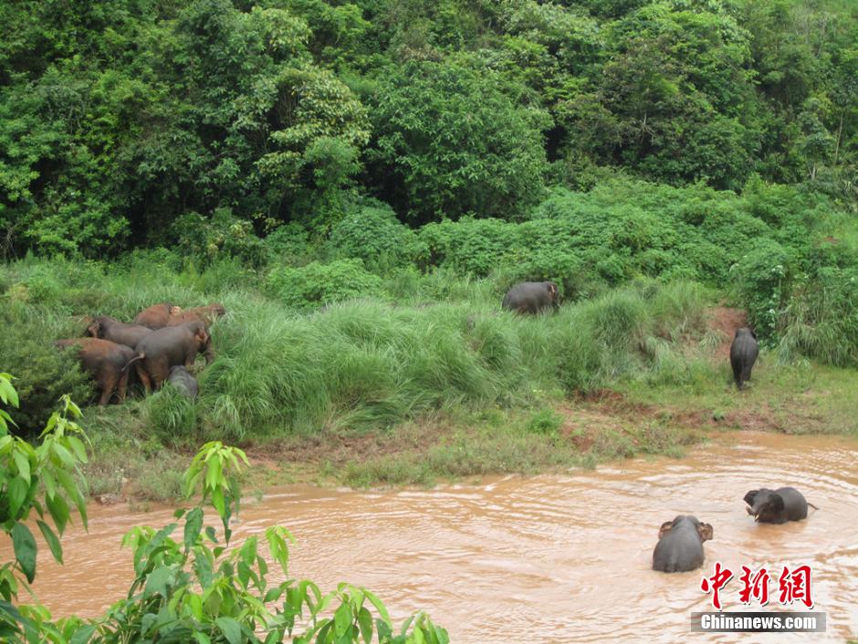 21ͷҰ��������������γ���������ʡ�����ؿ�ƽ�����Ͻ�һ��